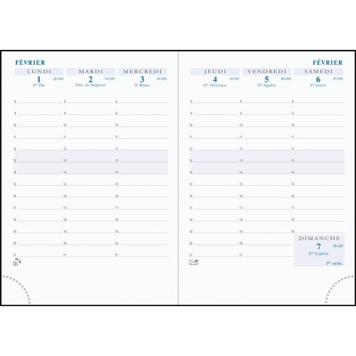 Recharge Agenda 2024 EXACOMPTA Horizons 15 tranche or - 155x105mm - 1  semaine sur 2 pages - VERTICAL