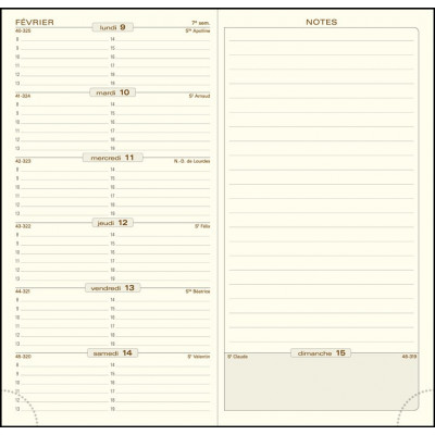 Recharge Agenda 2024 EXACOMPTA Espace 17 tranche or - 175x90mm - 1 semaine  sur 1 page + NOTE - HORIZONTAL