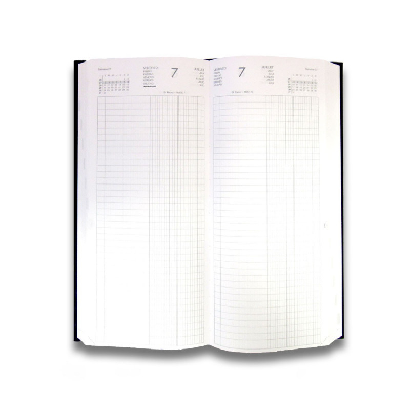 Agenda De La Banque LECAS Long 15 X 34 Cm - Réglure Double Colonne ...