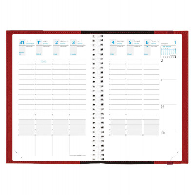 Agenda Journalier 2024,Scolaire Semainier -21,3 × 14,7cm- (Janvier