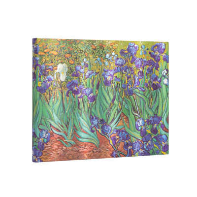 Livre d'or PAPERBLANKS non ligné - Iris de Van Gogh - Livre dor 230×180mm