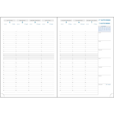 Recharge agenda EXACOMPTA SAD 29 - 21x29,7cm - 1 semaine sur 2 pages